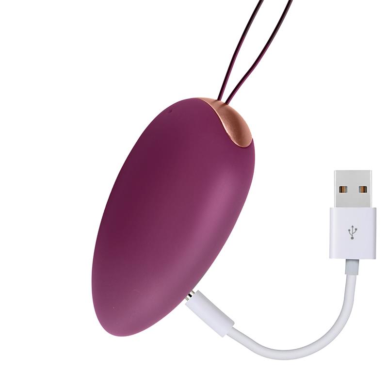 GARLAND VIBRATING EGG REMOTE SILICONE ER69003