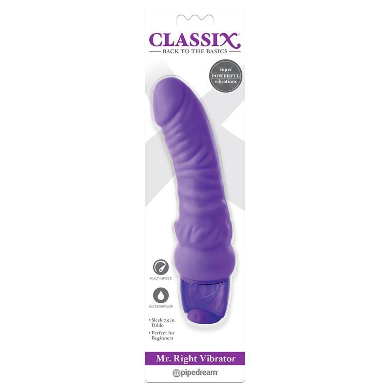 MR. RIGHT PURPLE OR BLUE