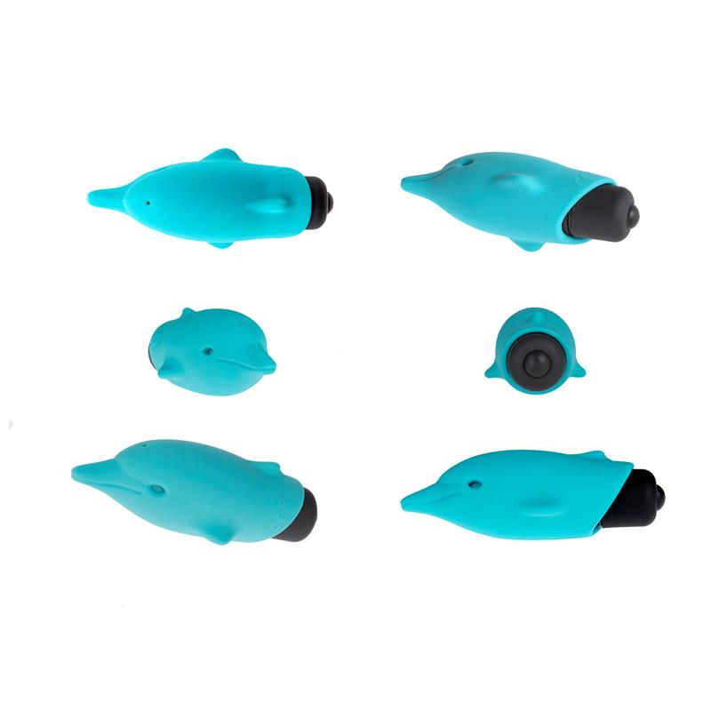 FLIPPY  DOLPHIN