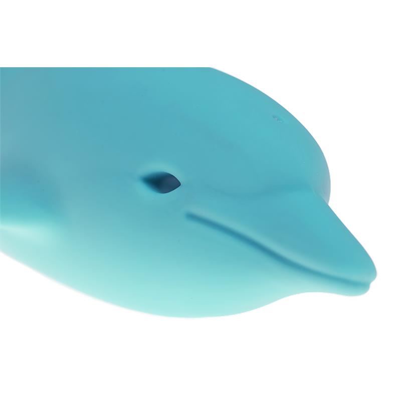 FLIPPY  DOLPHIN